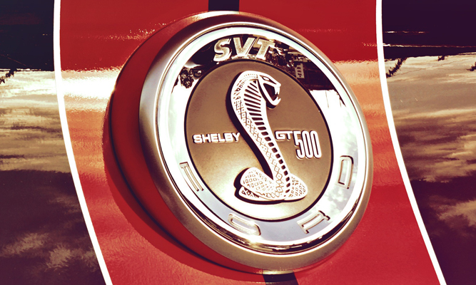 Shelby
