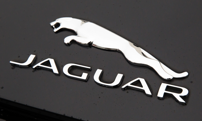 Jaguar